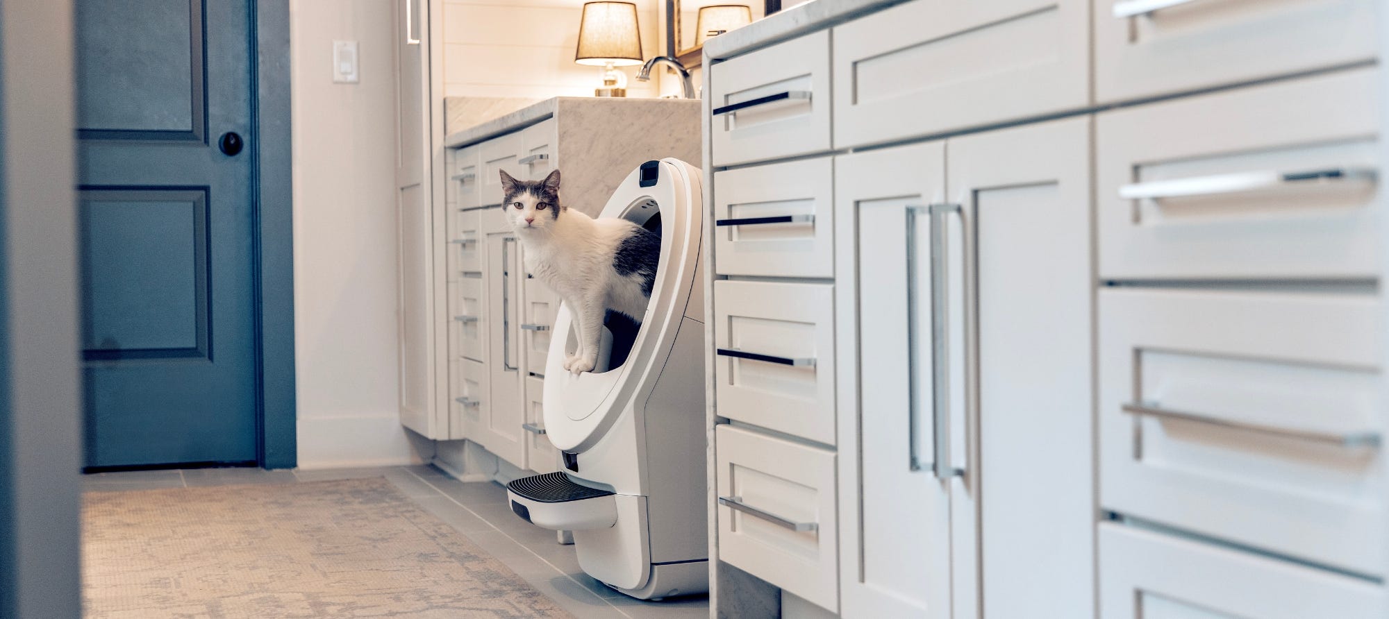 cat peaking out from a Litter-Robot placed in a large bathroom