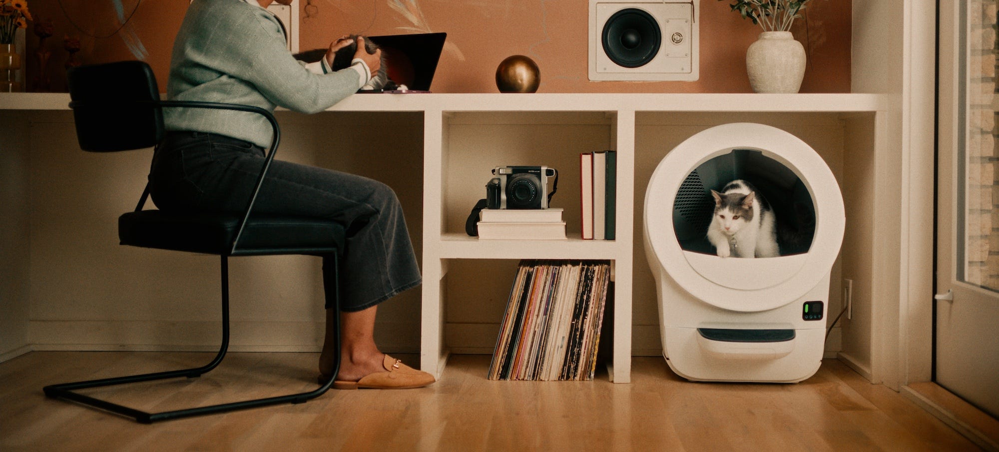 tabby cat using Litter-Robot EVO with woman sitting at office desk nearby