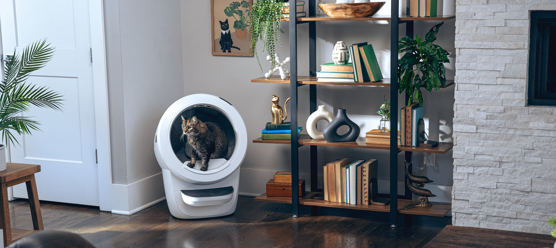 Keep Your Litter-Robot in Top Shape (Even After Warranty)