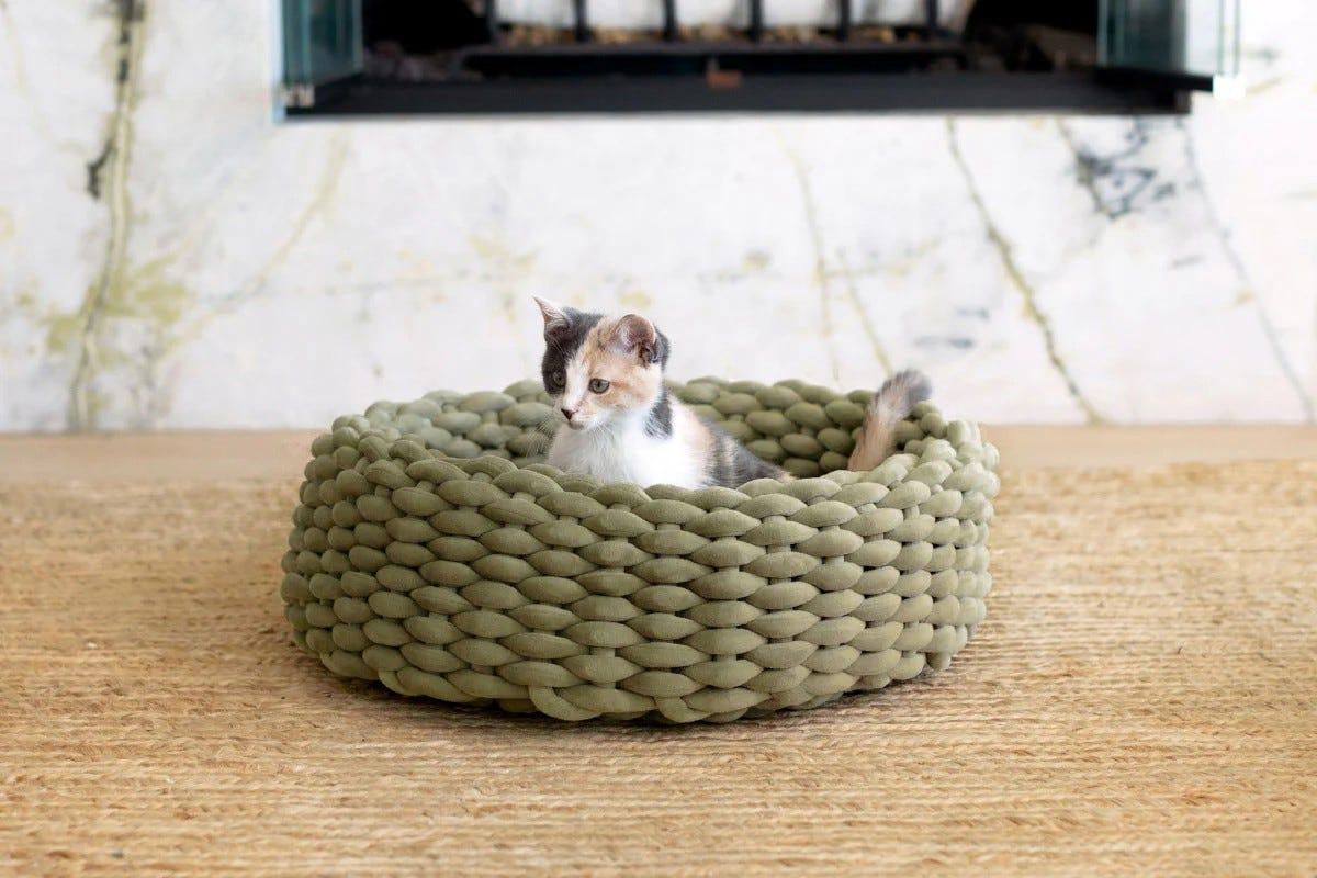 woven cat bed