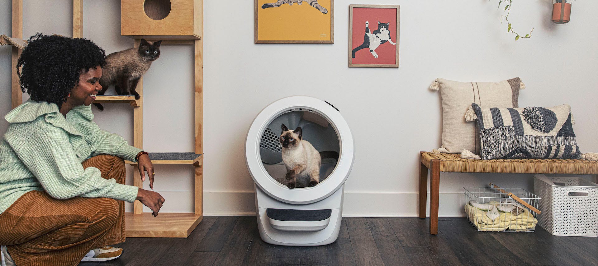 Siamese cat in Litter-Robot 4, the top rated self cleaning litter box