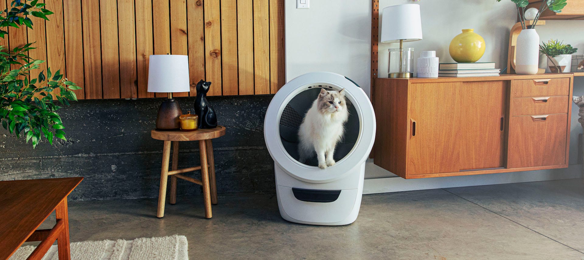 long-haired cat inside white Litter-Robot 4