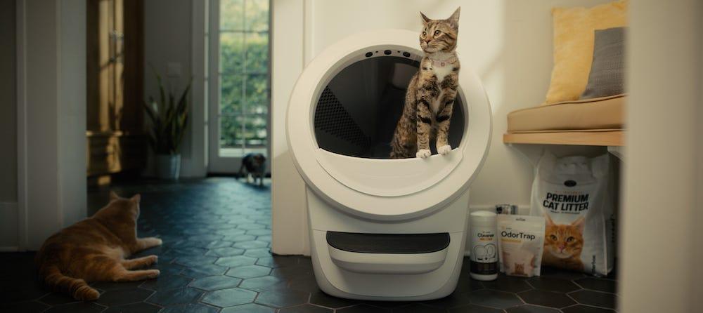 Cat Litter Box History From Sandbox To Automatic Litter Box