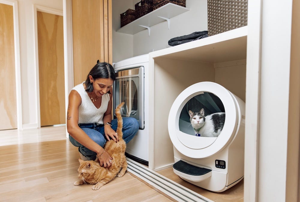 Litter box hidden in the laundry room