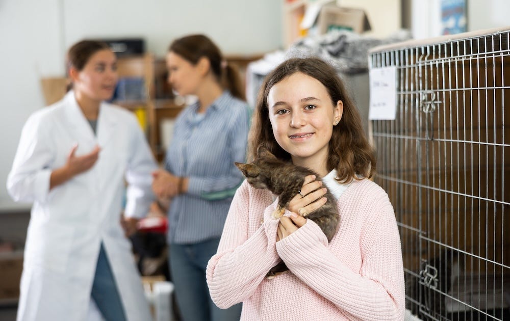 adoption fees cover various services