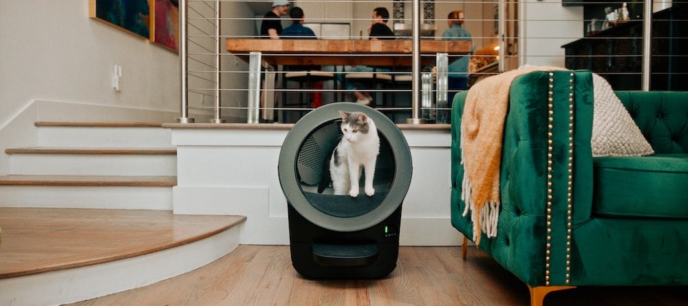 tabby cat using Litter-Robot EVO, a self-cleaning litter box