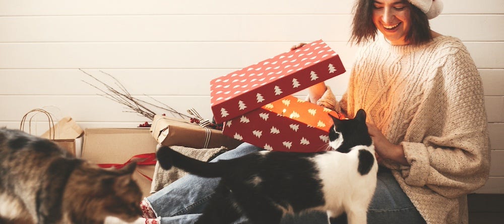 woman opening gift with two cats
