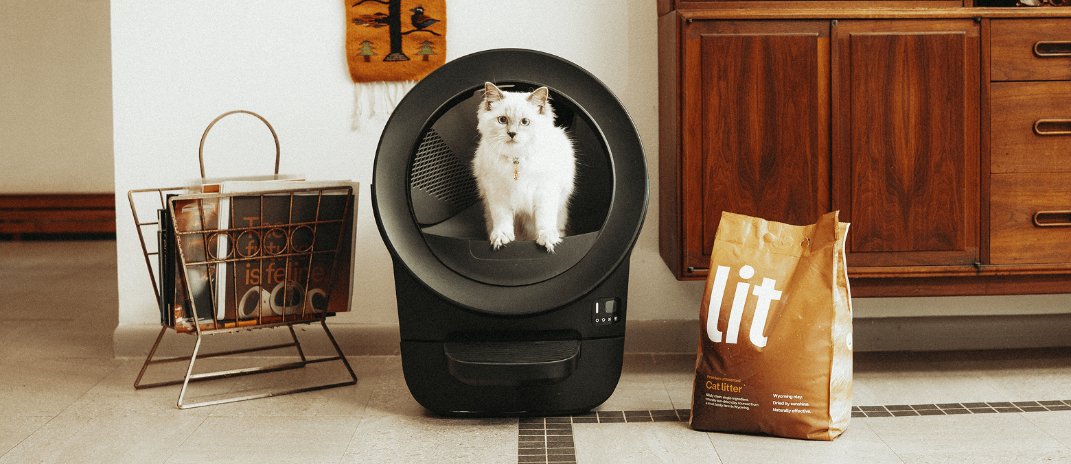 cat in self-cleaning litter box with best litter for Litter-Robot, Lit Premium Cat Litter