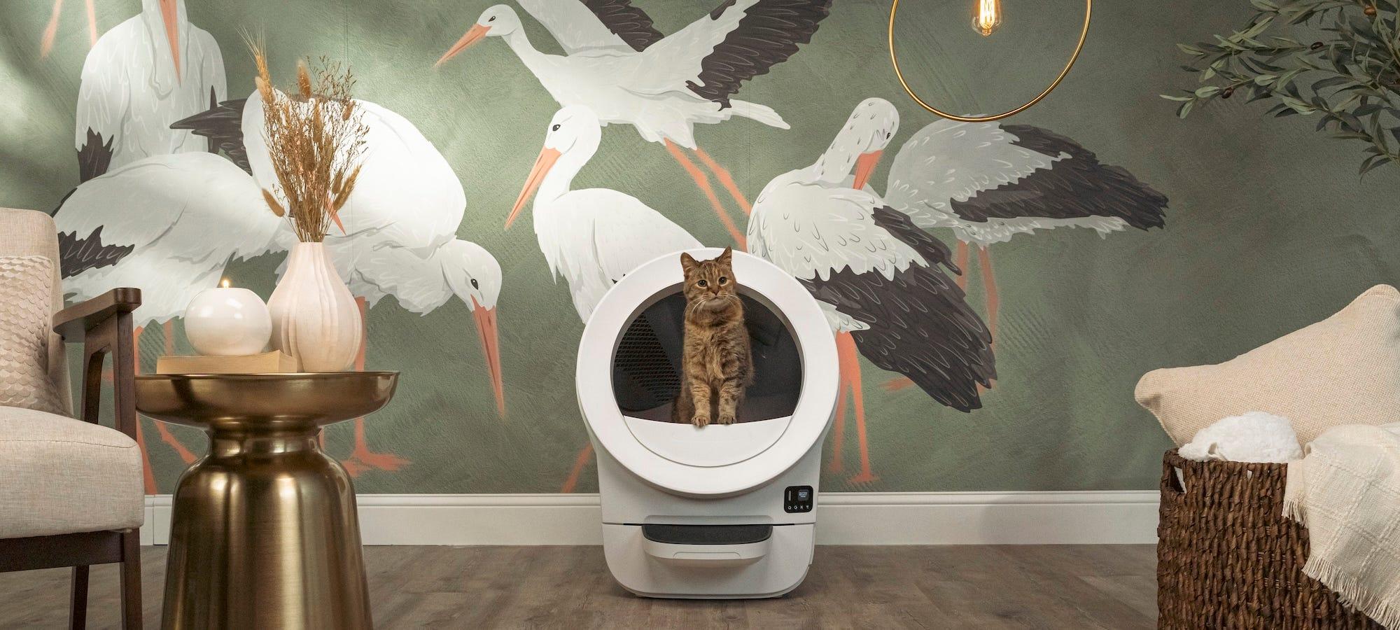 cat using self-cleaning litter box in baby nursery