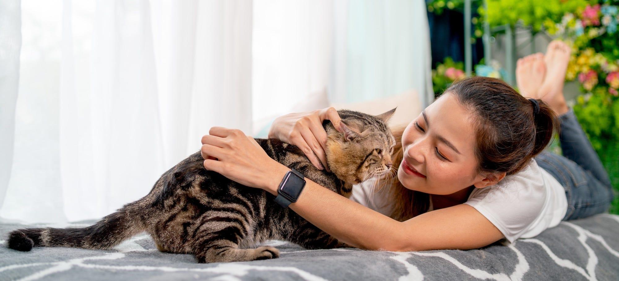 woman petting tabby cat