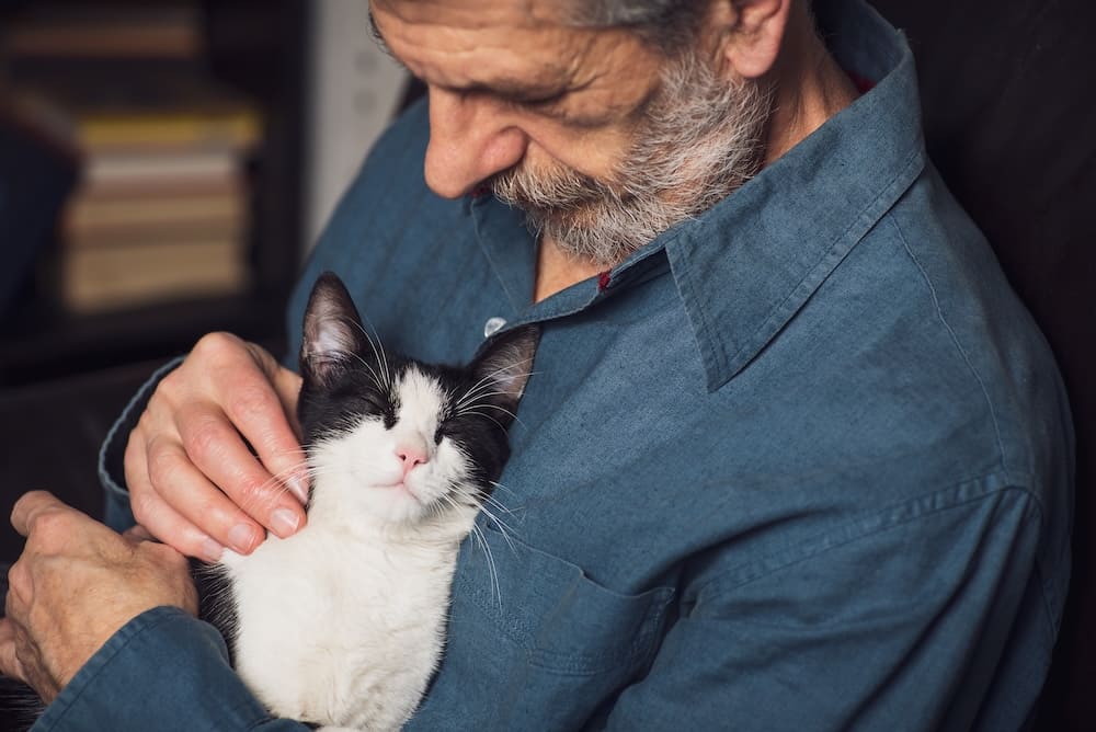 man petting a deaf cat
