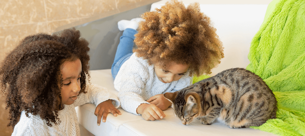 two kids with tabby cat