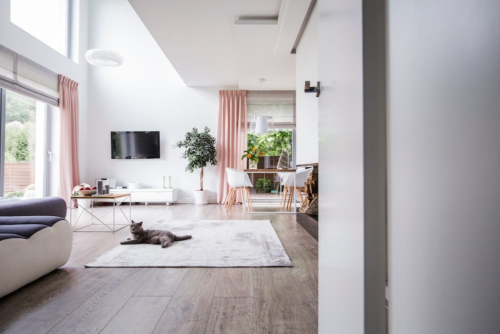 ensuring your household can accommodate a cat - adoption application