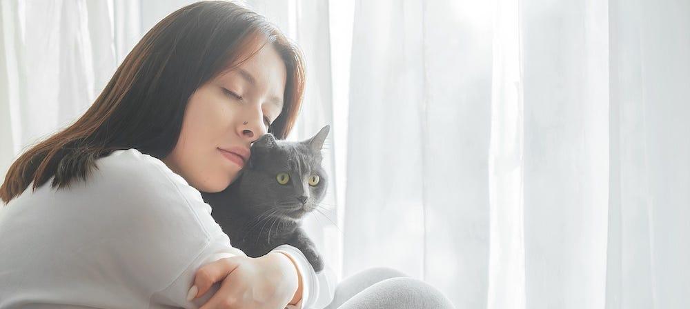 woman holding grey cat for comfort