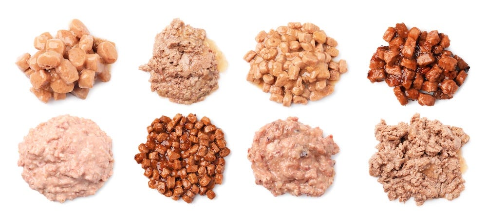 wet cat food with different textures