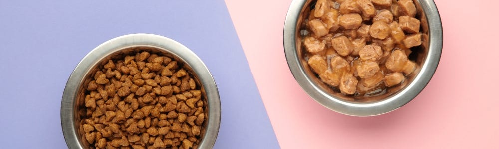 dry and wet cat food