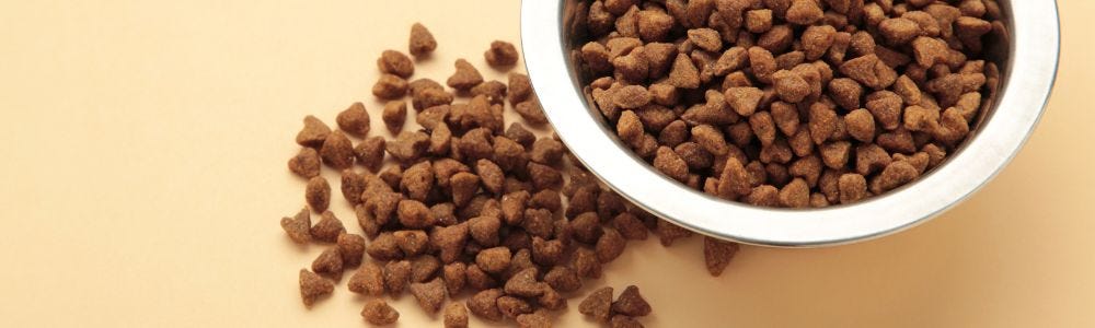 dry cat food
