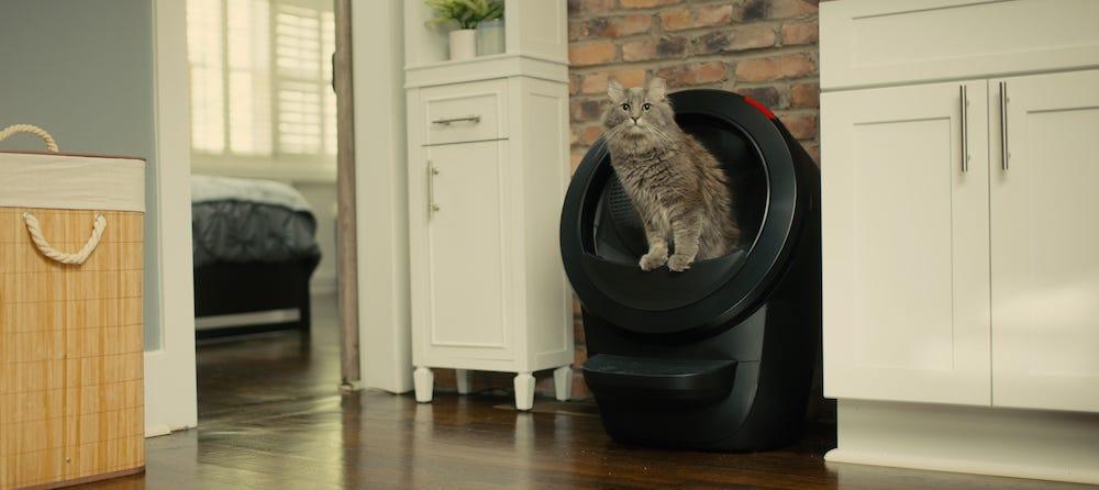 Elevated litter box hotsell