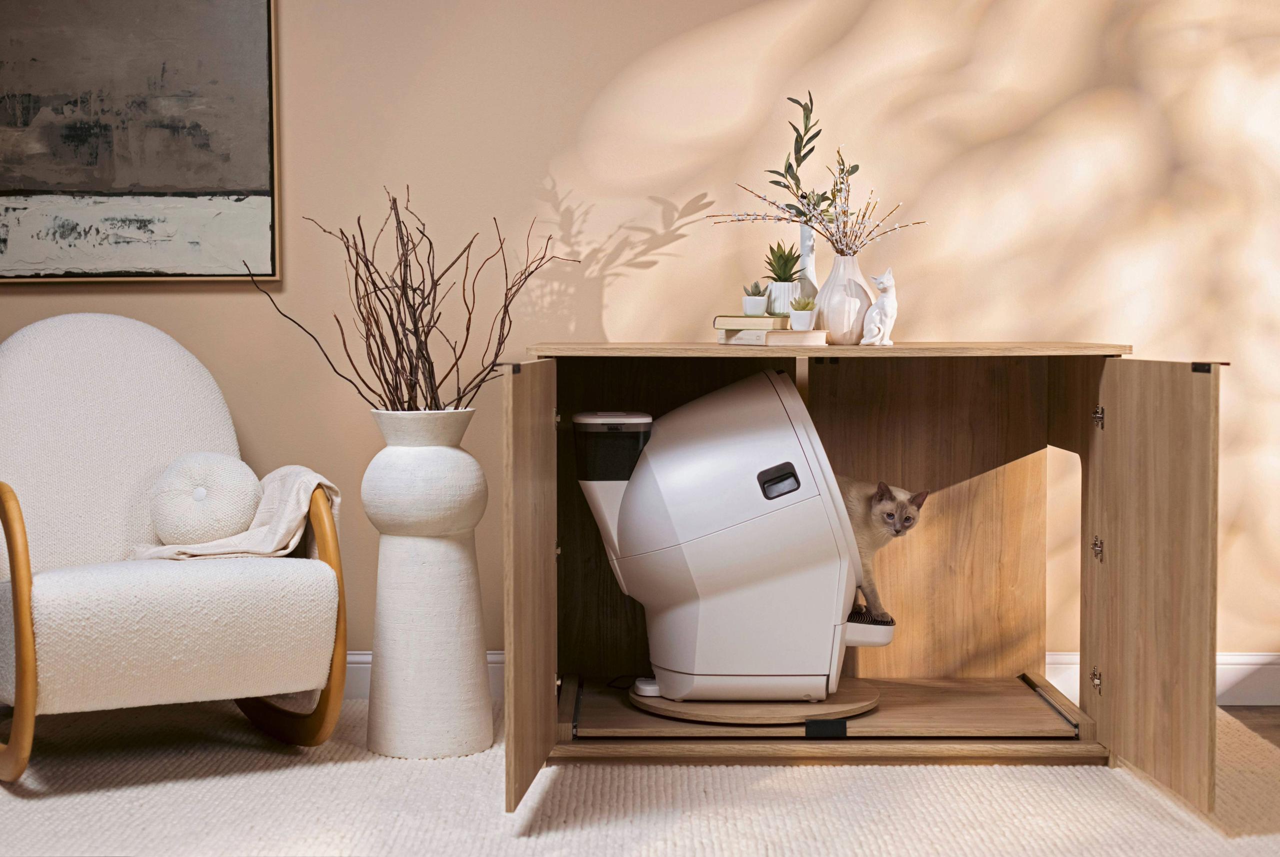 cat inside hidden litter box furniture