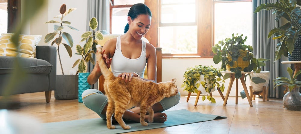 woman on yoga mat with cat and plants