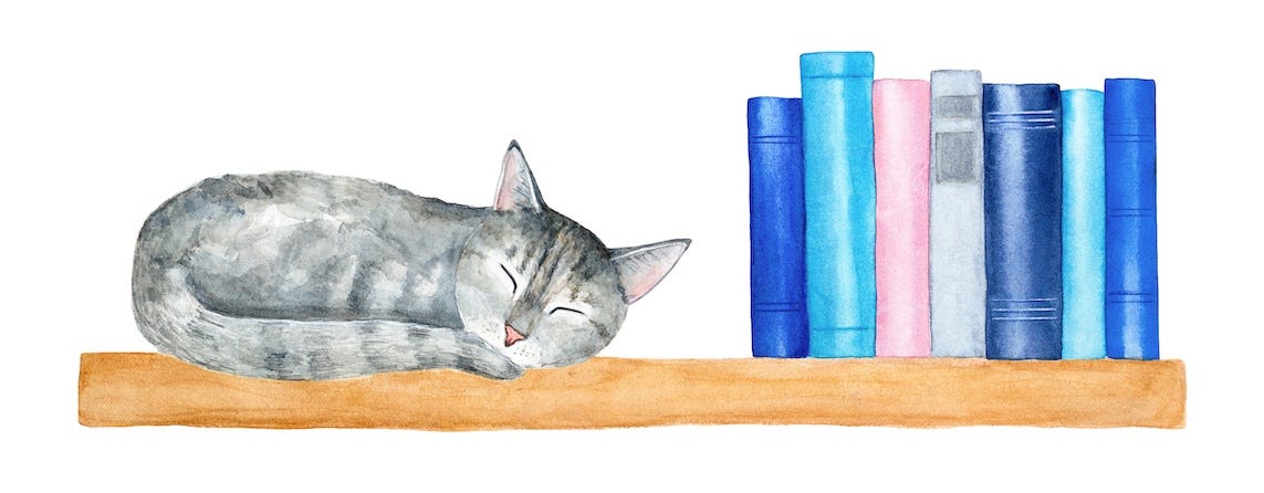 illustration of grey tabby cat sleeping on shelf next to books