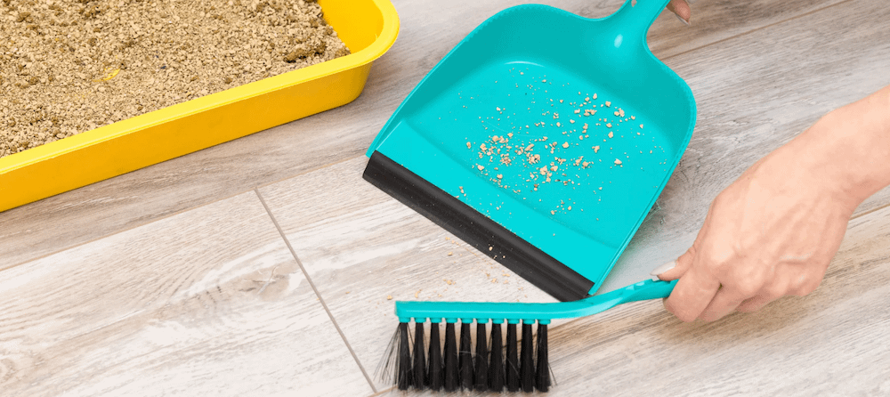 cat litter pan broom and brush