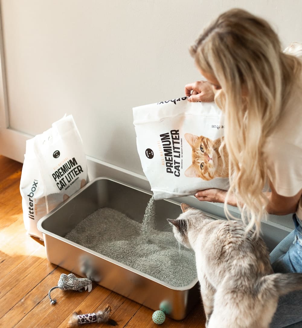 How Much Cat Litter Should You Use For Your Cat?