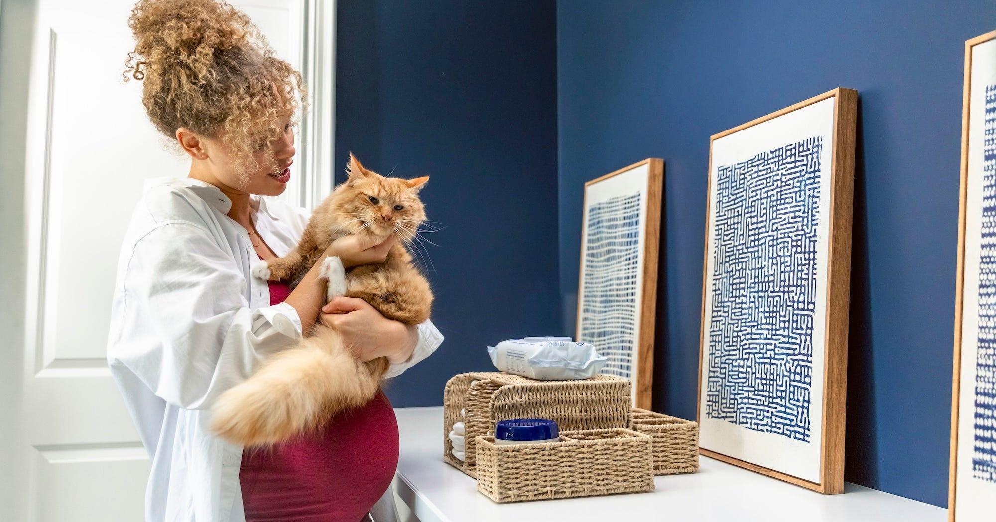 pregnant woman with cat