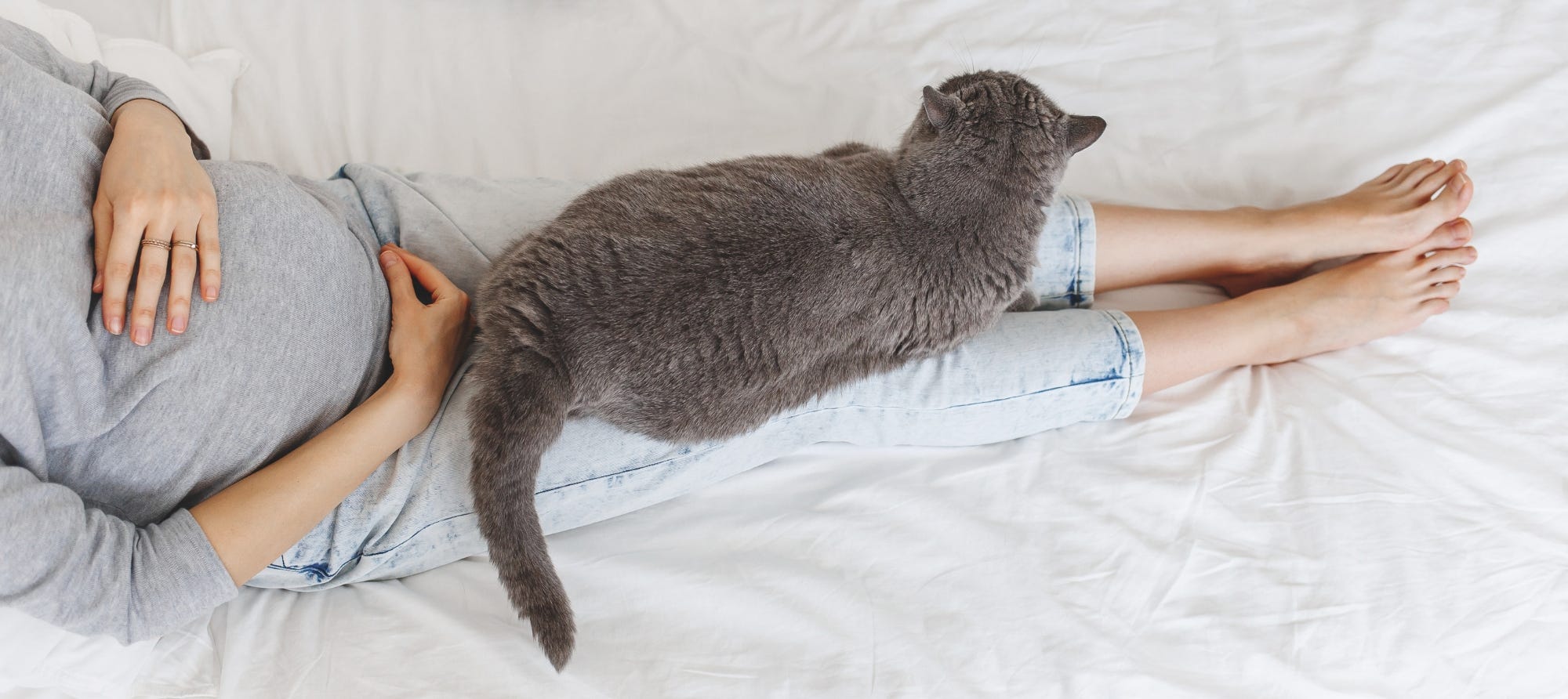 pregnant woman with cat