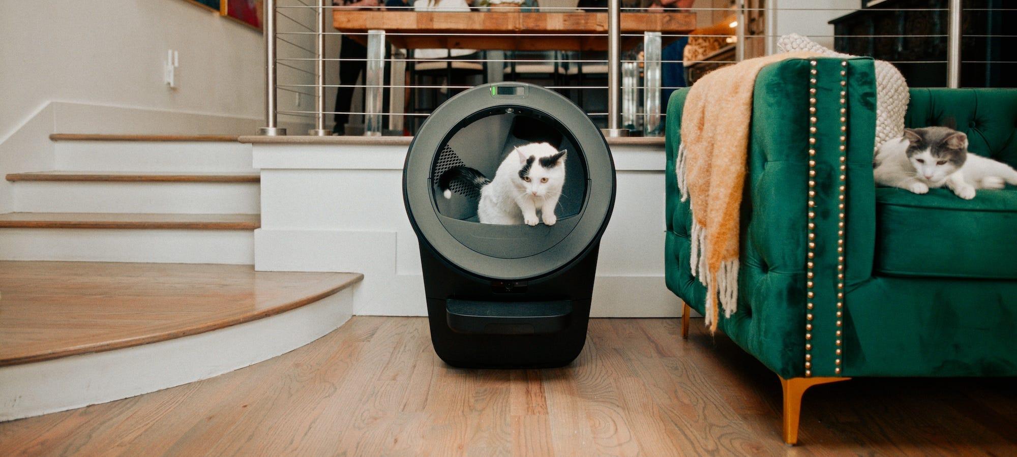 cat using Litter-Robot 5 Pro camera identification