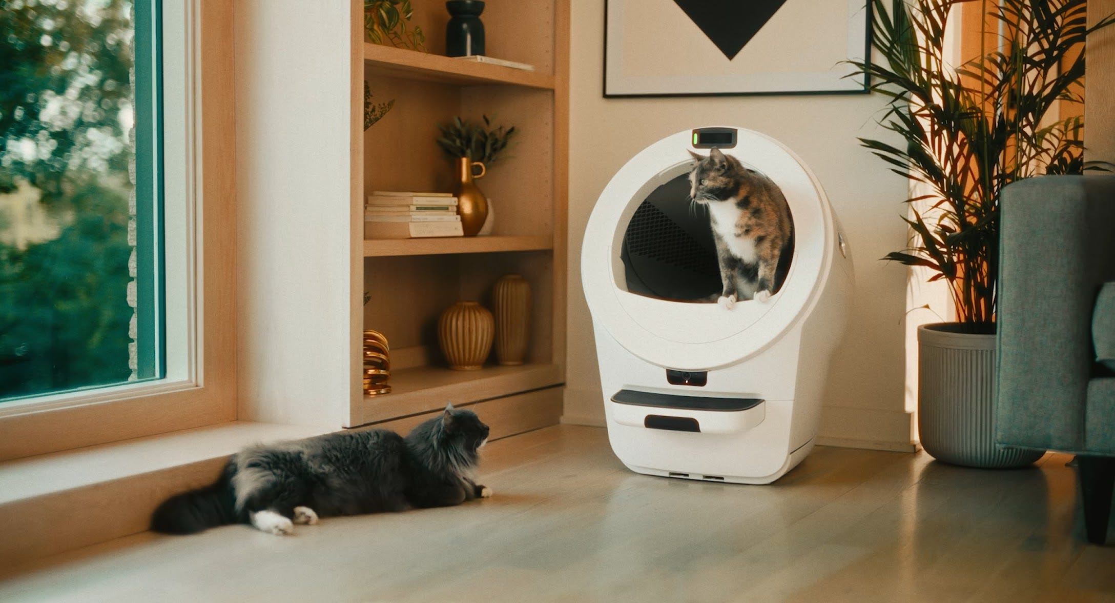 Litter-Robot 5 Pro in a home with 2 cats