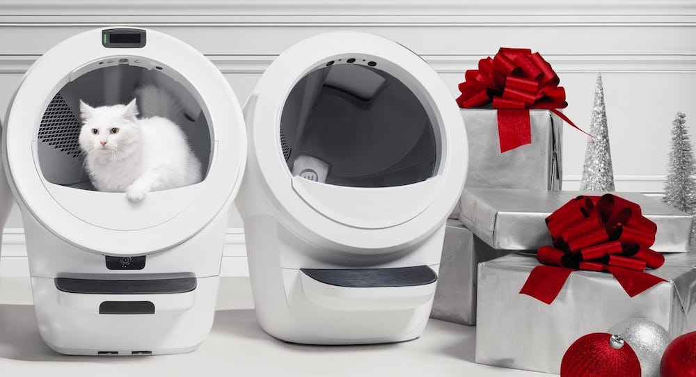 Litter-Robot 4 vs Litter-Robot 5 - white cat in white self-cleaning litter box