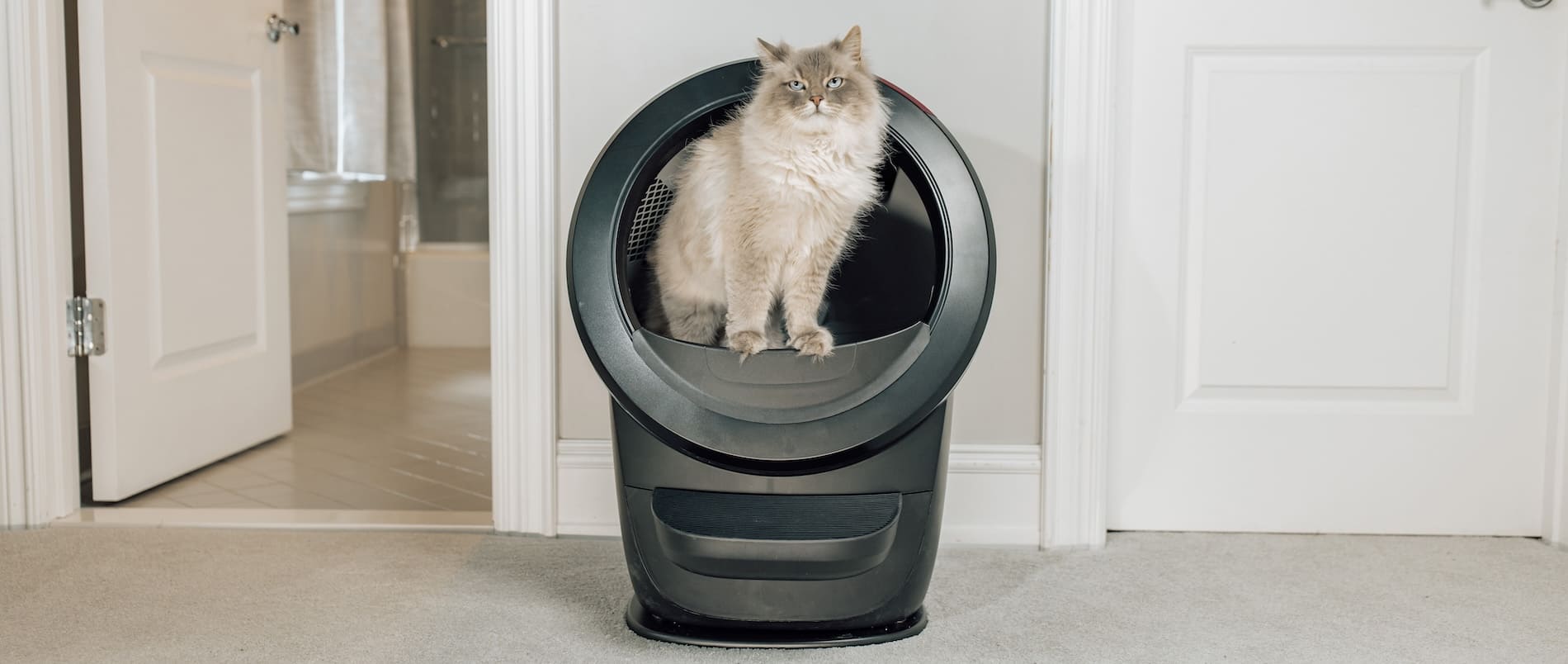 Litter robot tips hotsell