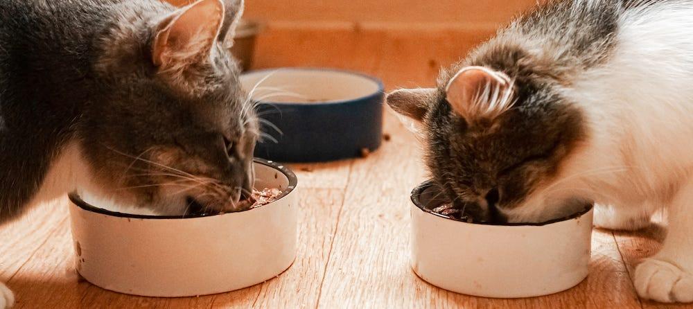 policosanol (triacontanol) supplier policosanol (triacontanol) supplier