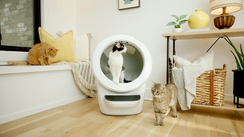 Litter-Robot 4 with multiple cats