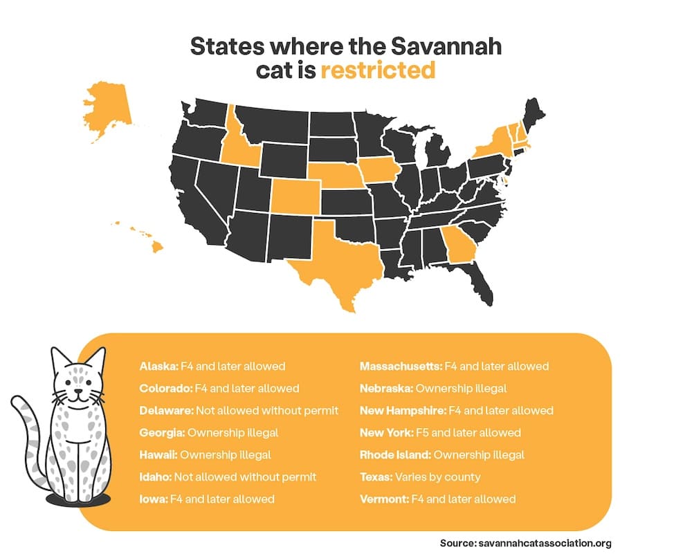 States in which Savannah cats are legal and restricted