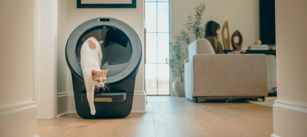 orange tabby cat in Litter-Robot 5 Pro, the top rated self cleaning litter box