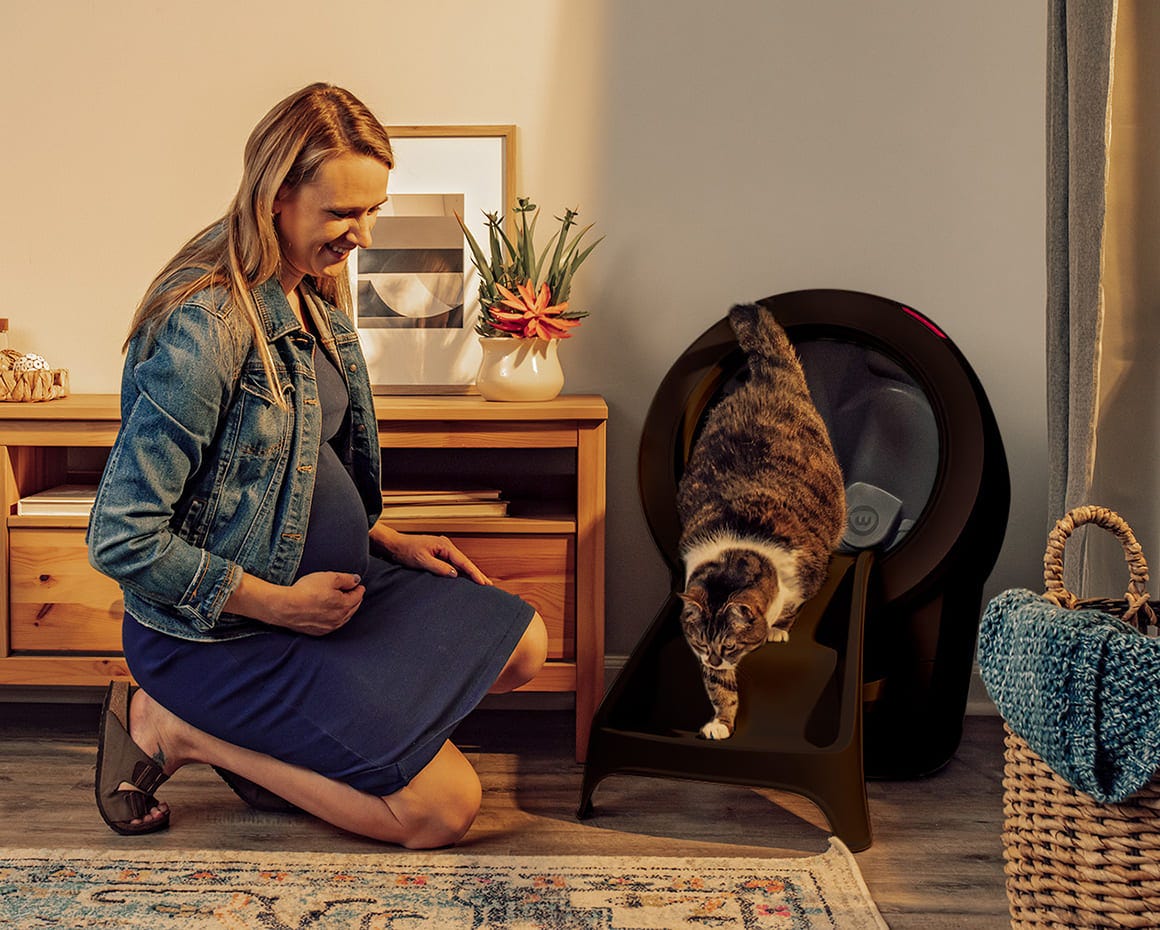 senior cat using litter box ramp