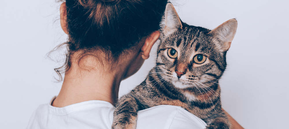 woman holding tabby cat on shoulder