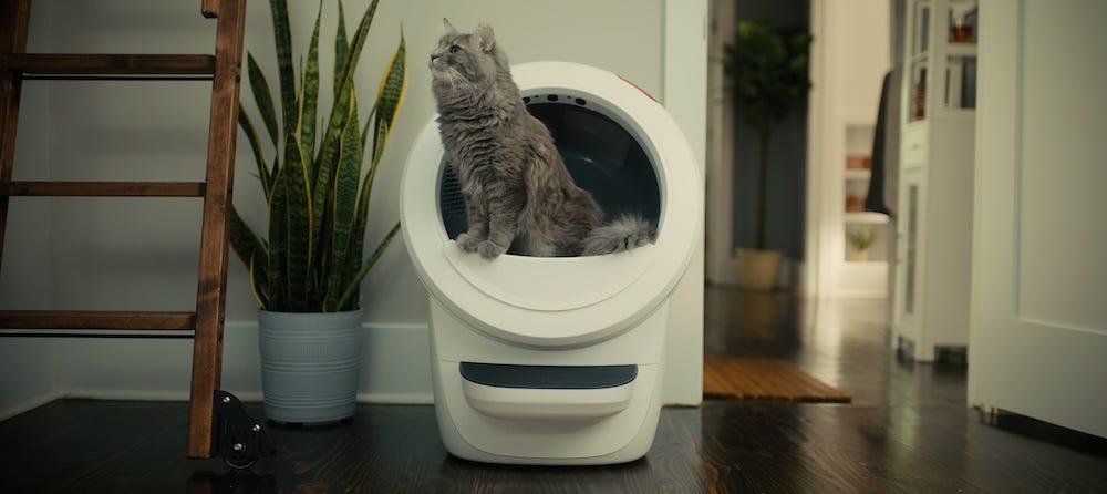 Litter robot timer hotsell