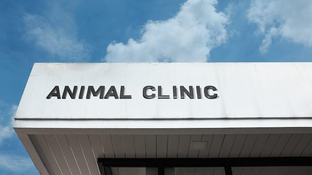 vet clinic