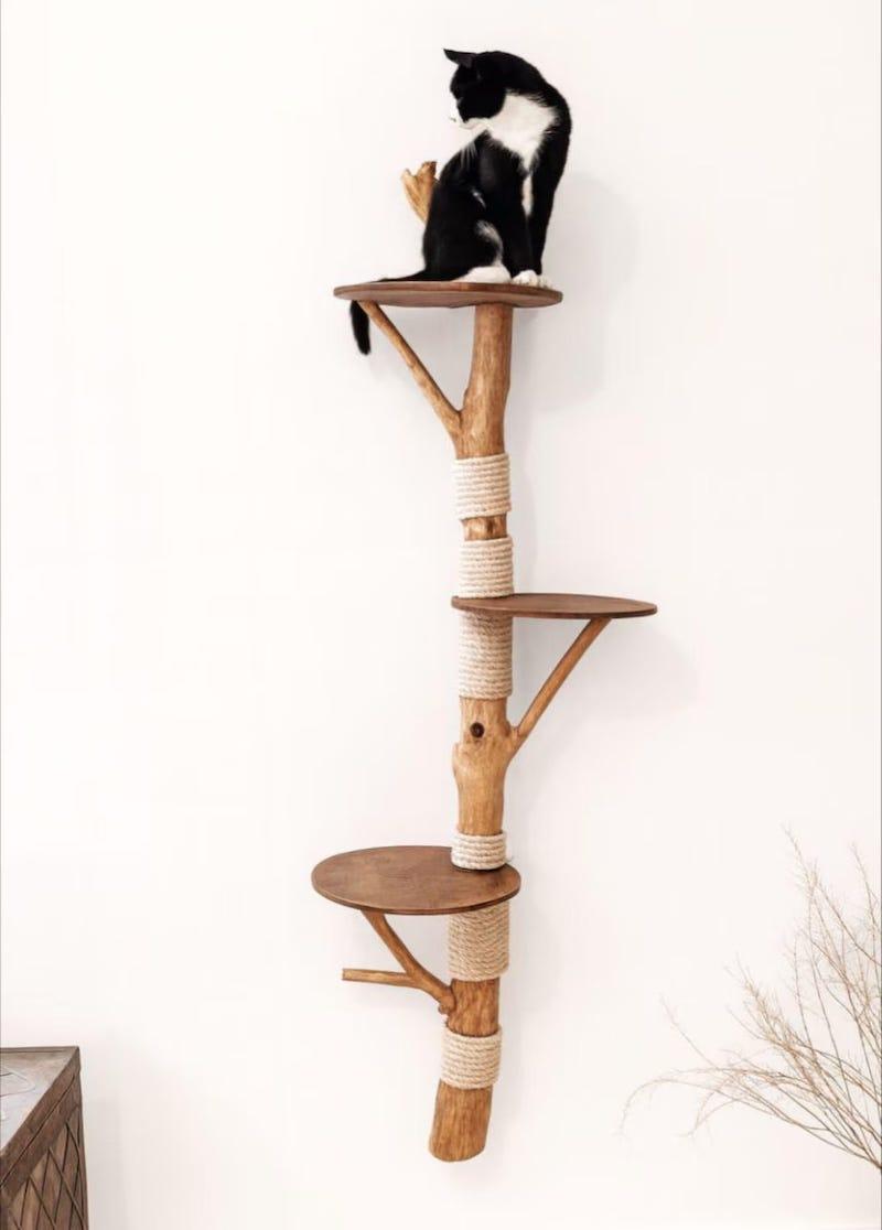 wall mounted cat tree