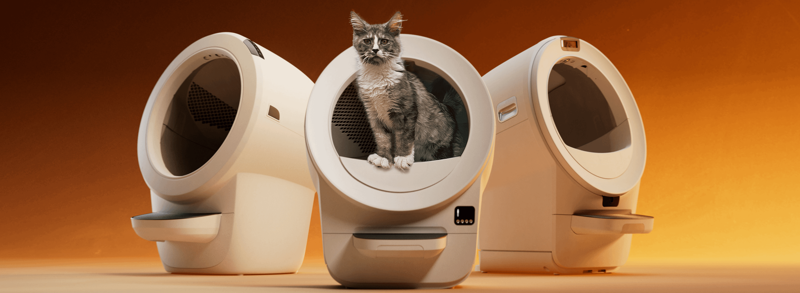 long-haired cat with new Litter-Robot lineup 