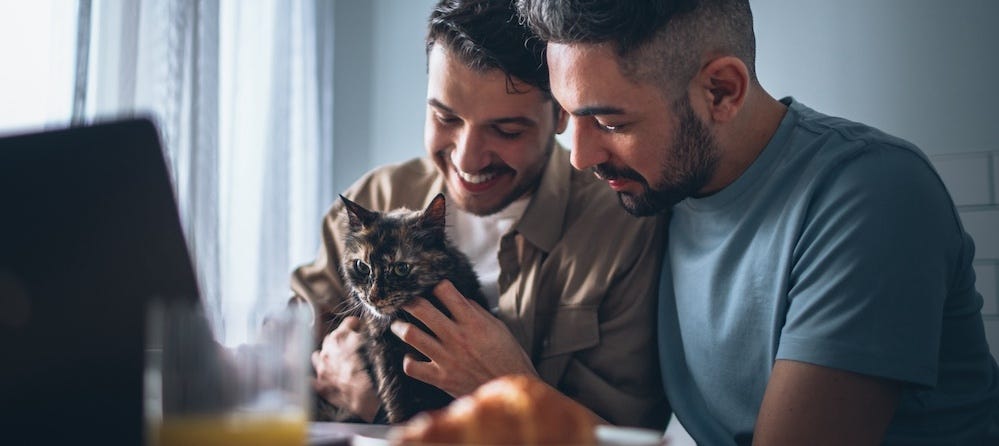 couple petting cat in front of laptop
