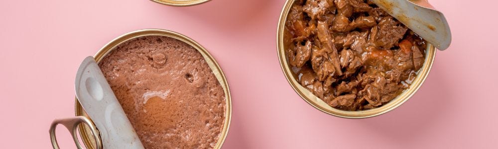 wet cat food