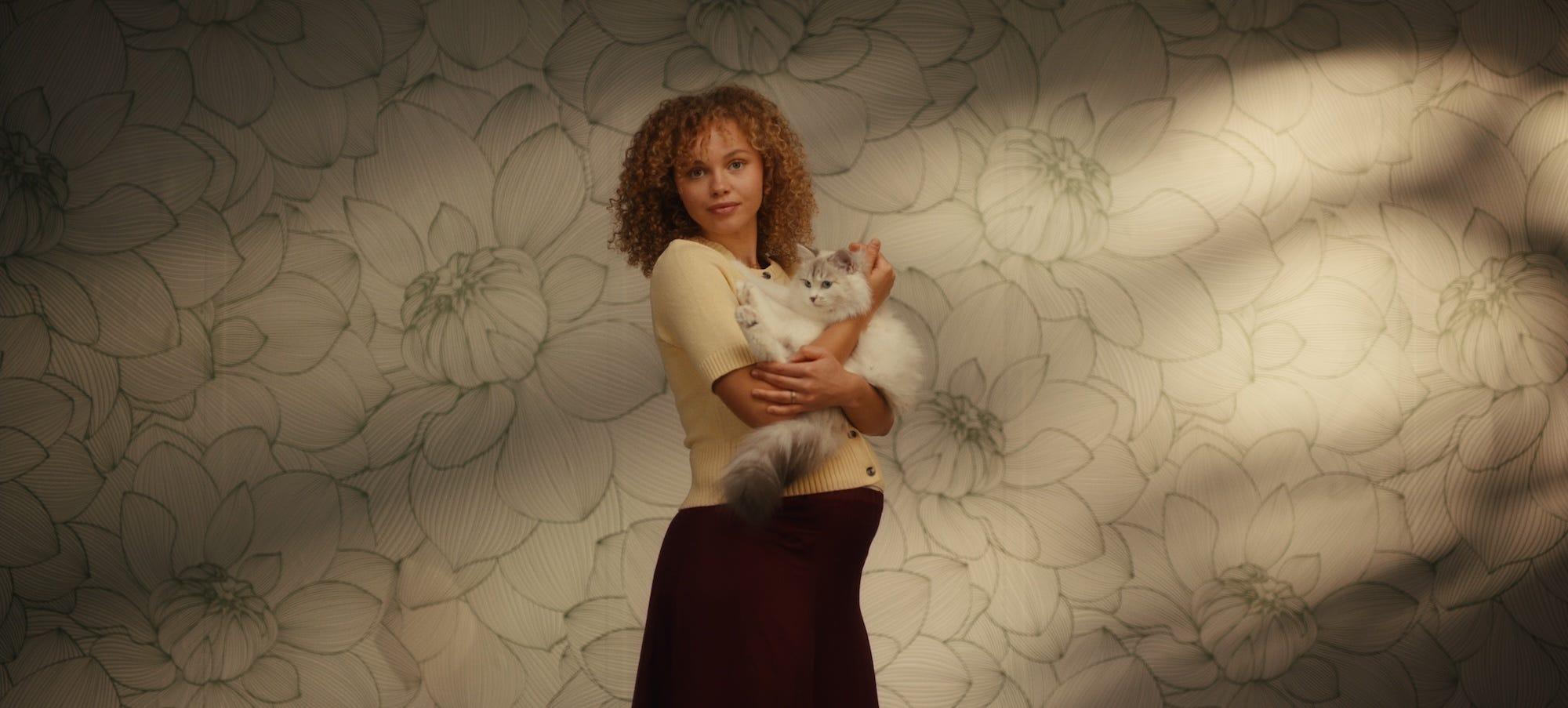 grey cat lying on pregnant woman's legs