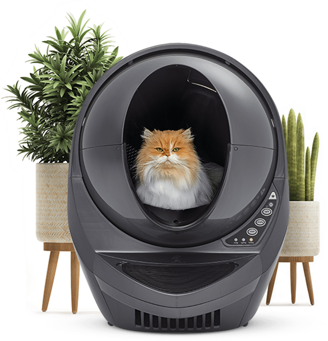 Litter-Robot 3 Connect | Self-Cleaning, Smart Litter Box | Litter-Robot