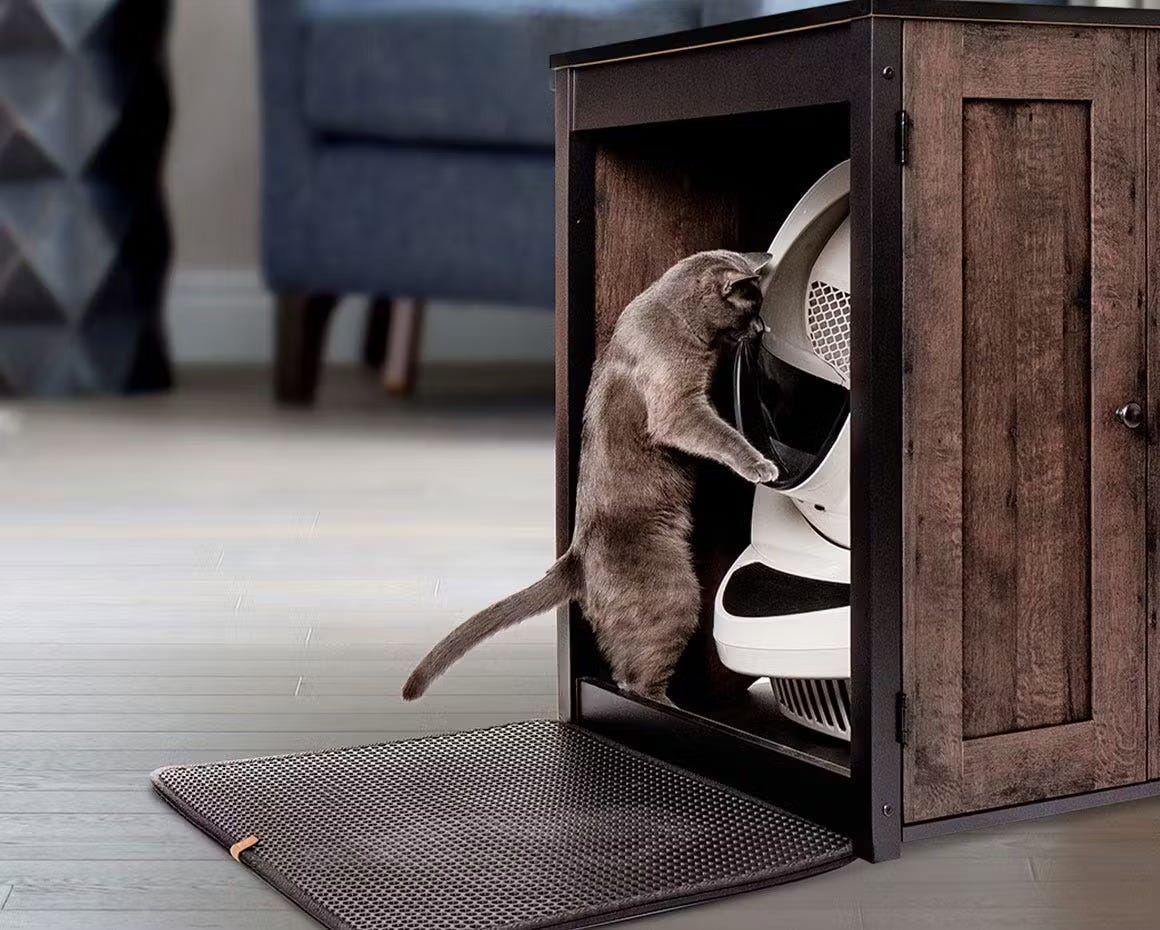 grey cat inside Litter-Robot Coffee Oak Storage Cabinet