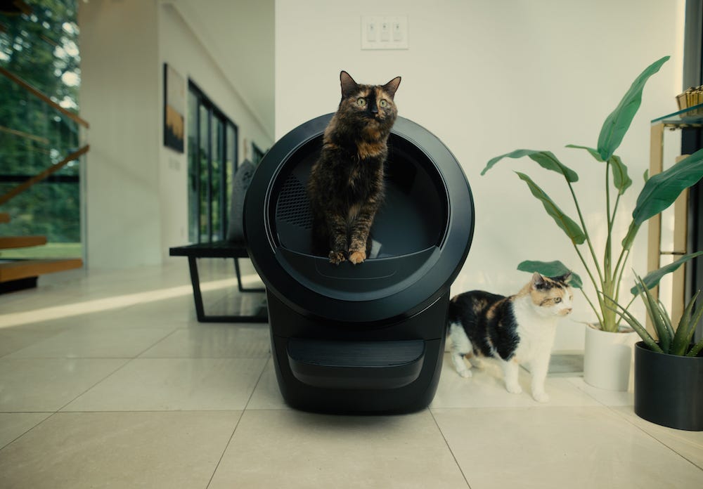 tortie cat using Litter-Robot 4 self-cleaning litter box