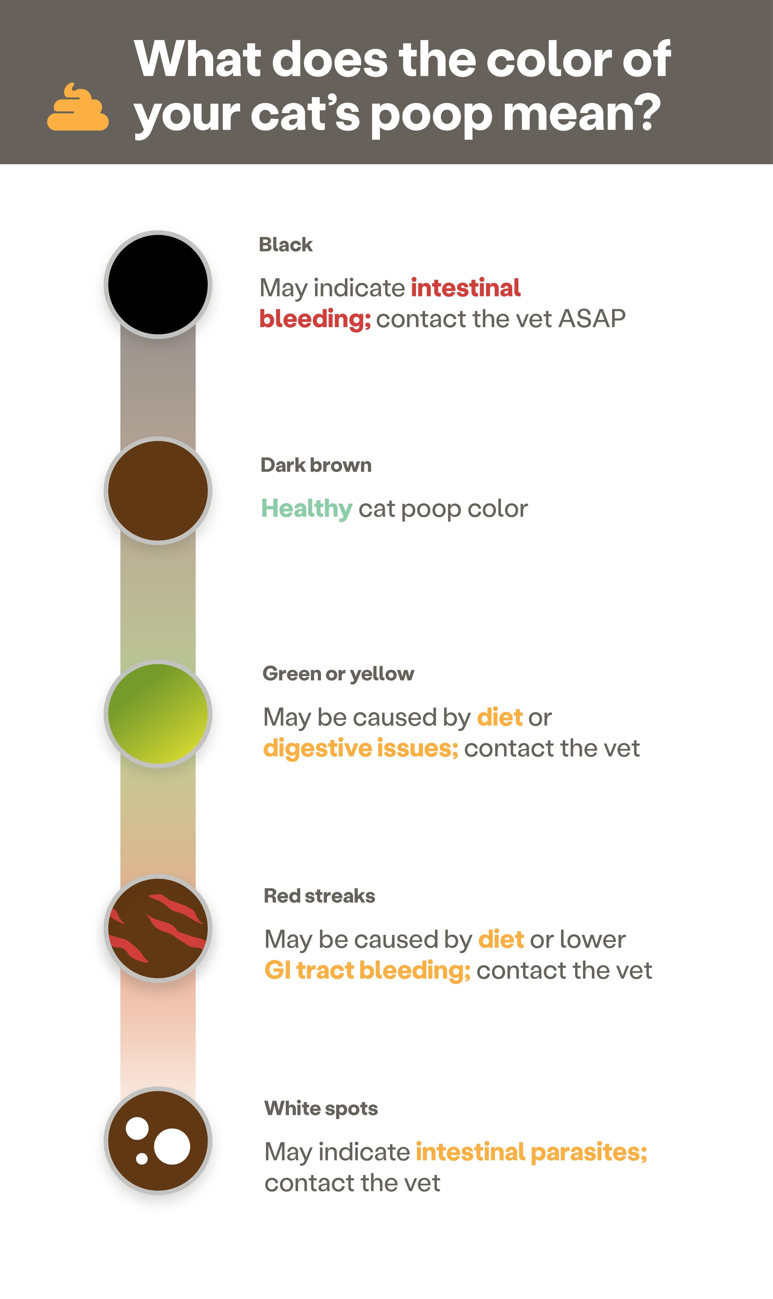 Cat Poop Frequency Chart Cat Poop Decoding Chart IXYI